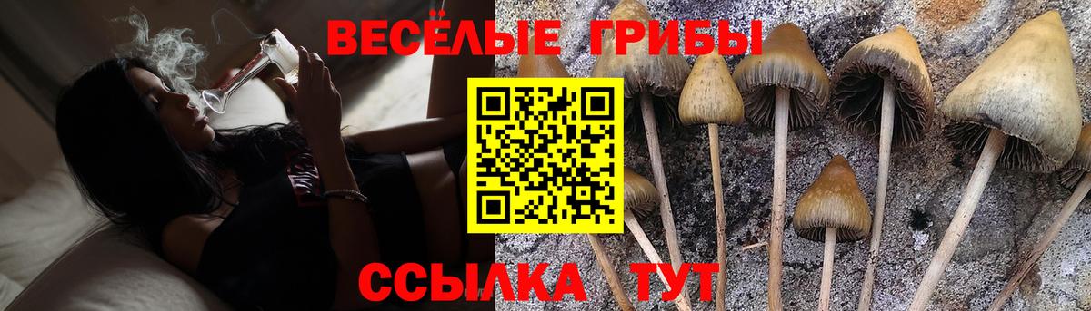 Анапа  где найти наркотики  Вход с VPN  Псилоцибиновые грибы GOLDEN TEACHER 