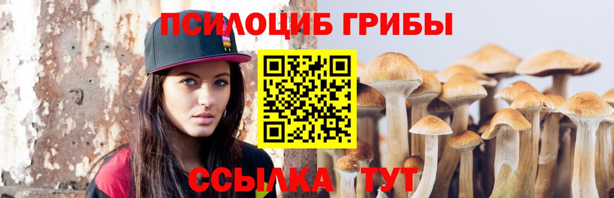 Галлюциногенные грибы прущие грибы Анапа